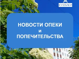 Юридическая помощь детям - сиротам